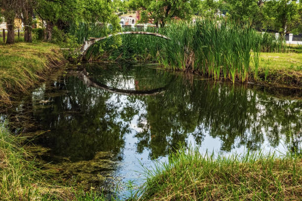 Nature scene, Public park view, trees, lake.Copenhagen - Denmark.