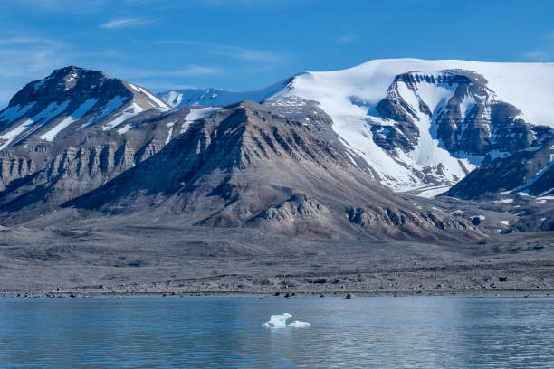 Iceberg and arctic glacial landscape in Svalbard
