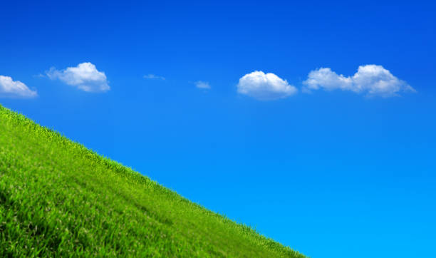 Green hill landscape