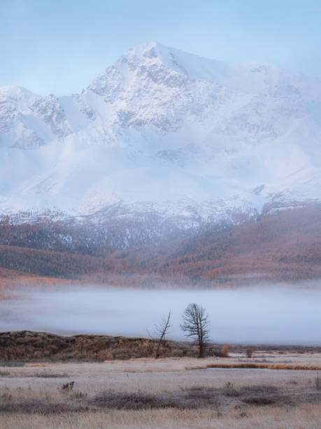 istock Autumn misty morning on mountain plateau. Vertical view. 2162871635
