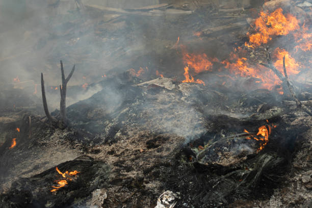 istock Burning of garbage. Set fire to illegal landfill. Flames and smoke. 2162872015