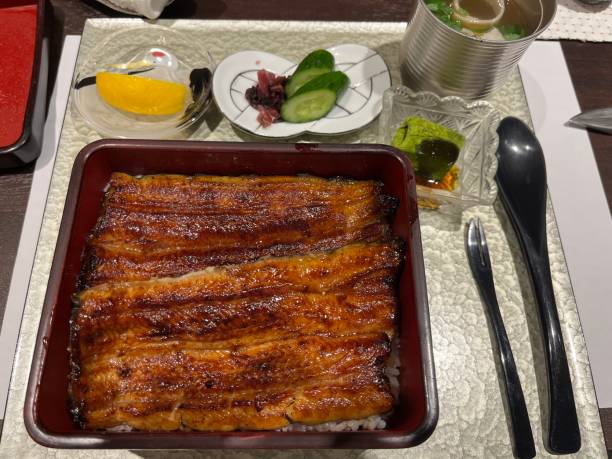 istock marinated eel over a box of rice plate 2162872304