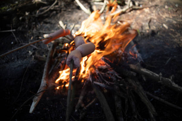 Sausages on the fire. Picnic in the forest. Burning sticks. Food at the fire.