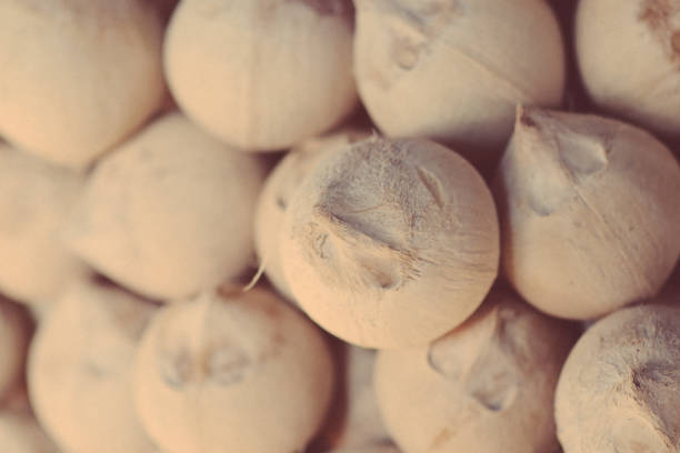 thai market ingredient