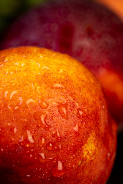 ripe and sweet nectarine fruit on the table