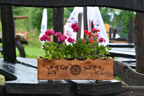 A blue shuttered window is decorated with a window box with  overflowing with colorful flowers on Cape Cod.
