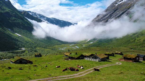 istock Norwegian Valley Cottages Under a Misty Sky 2162881163