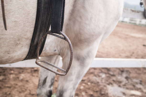 Close-up stirrup on a white horse
