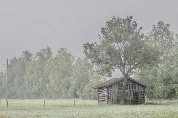 Old hay barn in the morning light with fog