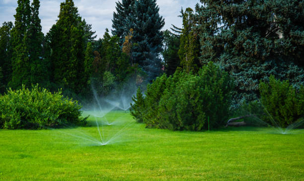 istock water sprinklers water the lawn 2162884412