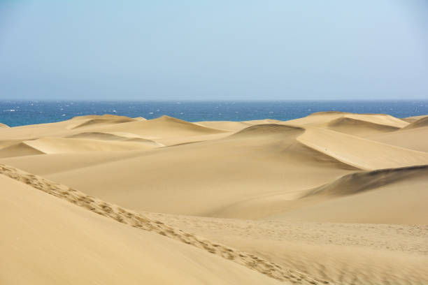 The dunes of Maspalomas on Gran Canaria in Spain, with sea and blue sky. The huge sand dunes resemble a small desert and are a nature reserve.