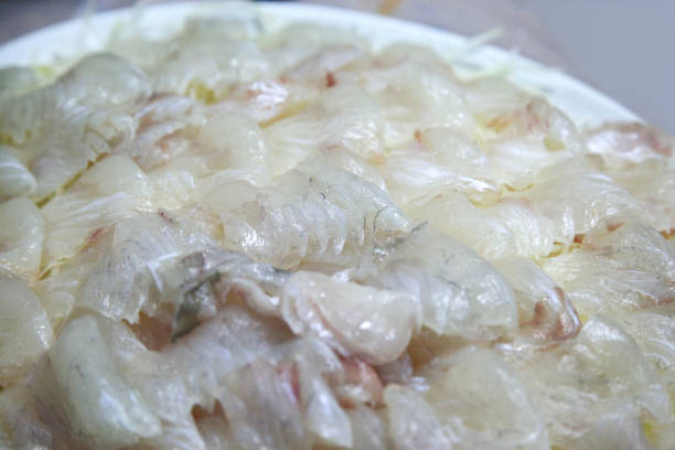 istock sashimi of flatfish on the plate 2162889882