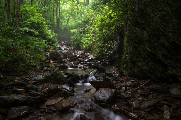 istock Water flow Great Smoky Mountains 2162893219