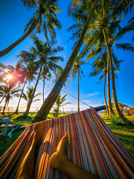 istock Tropical hammock vibes under swaying palm trees 2162895920