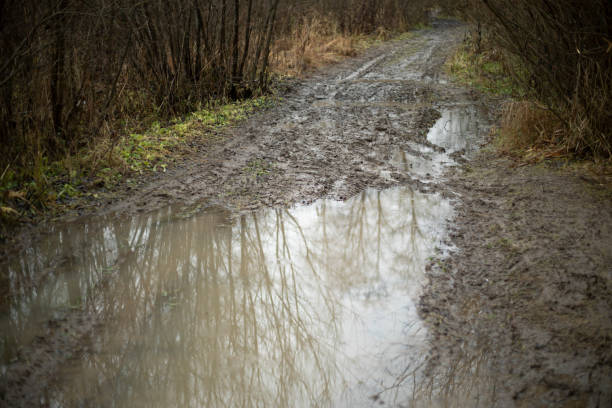 Dirt path. Path in the rain. Dirt on the road. Details of the park in the rain.