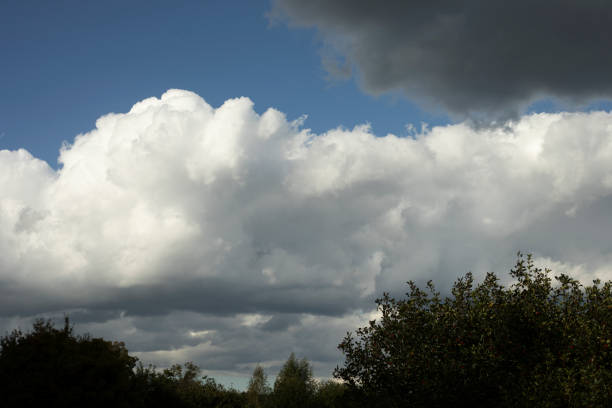 White cloud in summer. A large cloud over the forest. Summer weather. Warm day.