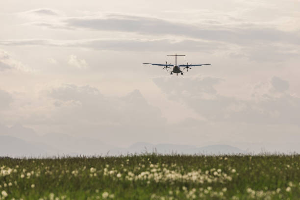istock Passenger airplane flying on the blue skyscape at sunset 2162902569