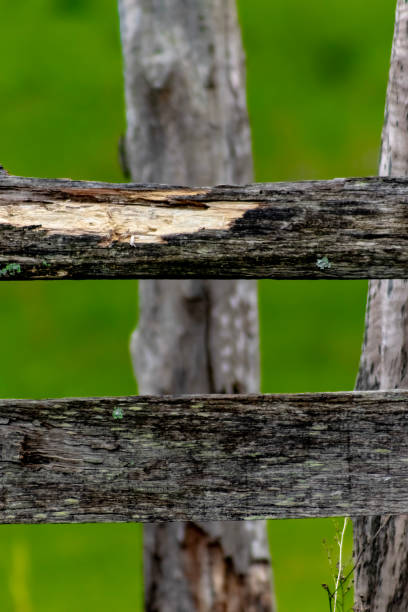 old wooden fence