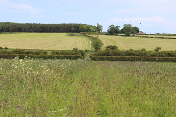 istock View across countryside fields in summer 2162906238