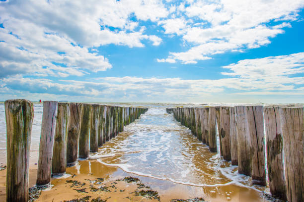Sand  beach along a sea in a blue cloudy sky in bright sunlight in summer, Walcheren, Zeeland, the Netherlands, July, 2024