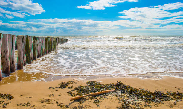 istock Sand  beach along a sea in a blue cloudy sky in bright sunlight in summer 2162906392