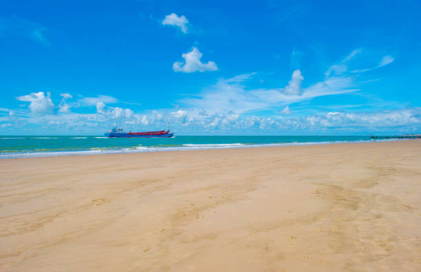 istock Sand  beach along a sea in a blue cloudy sky in bright sunlight in summer 2162906578
