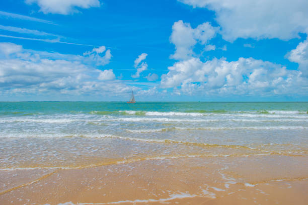 Sand  beach along a sea in a blue cloudy sky in bright sunlight in summer, Walcheren, Zeeland, the Netherlands, July, 2024