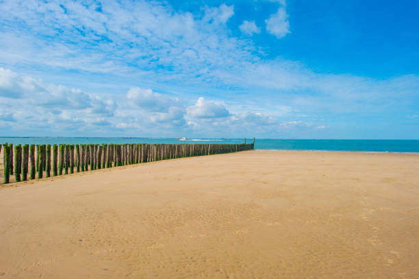 istock Sand  beach along a sea in a blue cloudy sky in bright sunlight in summer 2162906711