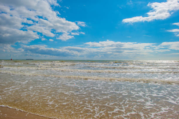 Sand  beach along a sea in a blue cloudy sky in bright sunlight in summer, Walcheren, Zeeland, the Netherlands, July, 2024