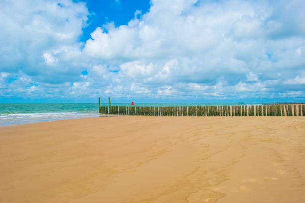 Sand  beach along a sea in a blue cloudy sky in bright sunlight in summer, Walcheren, Zeeland, the Netherlands, July, 2024