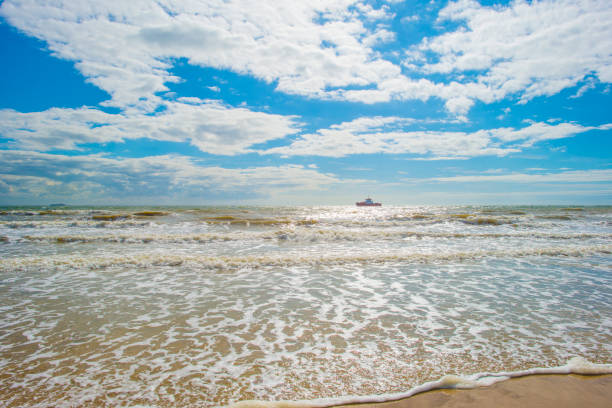 Sand  beach along a sea in a blue cloudy sky in bright sunlight in summer, Walcheren, Zeeland, the Netherlands, July, 2024