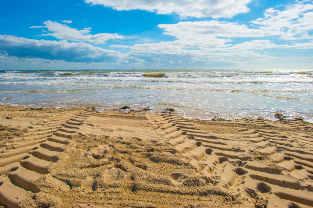 Sand  beach along a sea in a blue cloudy sky in bright sunlight in summer, Walcheren, Zeeland, the Netherlands, July, 2024