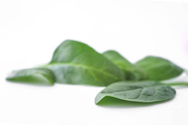 Pile of spinach leaves close-up on a white background.