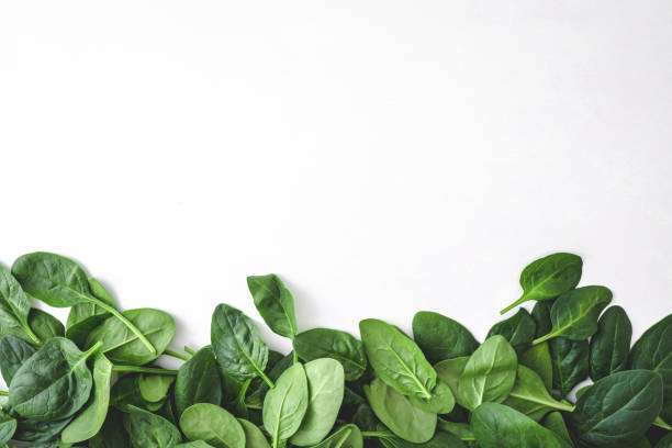 istock Pile of spinach leaves close-up on a white background 2162909631