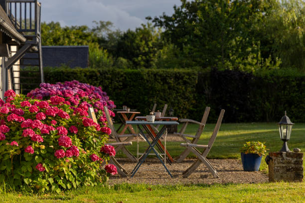 istock A patio with a table and chairs surrounded by pink flowers 2162913047