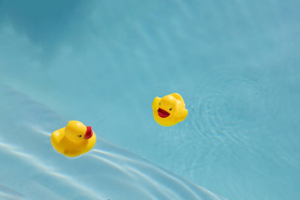 istock Two rubber ducks floating in clear blue water 2162914106