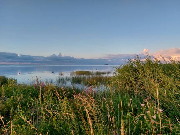 istock Baltic Sea in Estonia 2162915391
