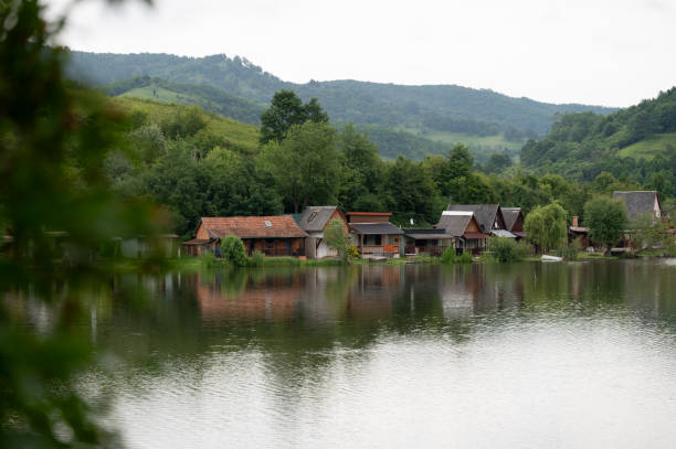 lake, hungary, summer, nature, green,