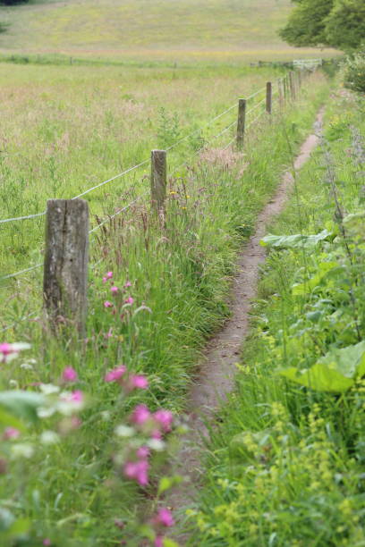 istock Countryside path running alongside a field fence 2162920256