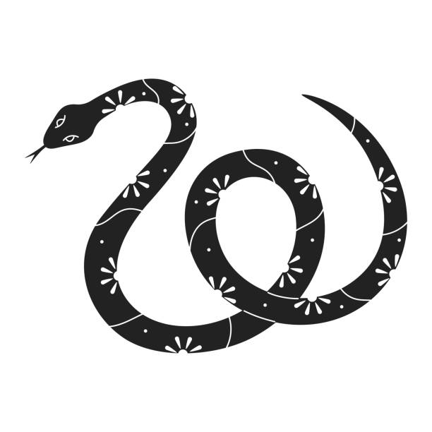 istock Hand drawn snake with doodle floral elements. Black and white mystic snake. Symbol of Chinese New Year 2025.  Vector illustration. 2162924724