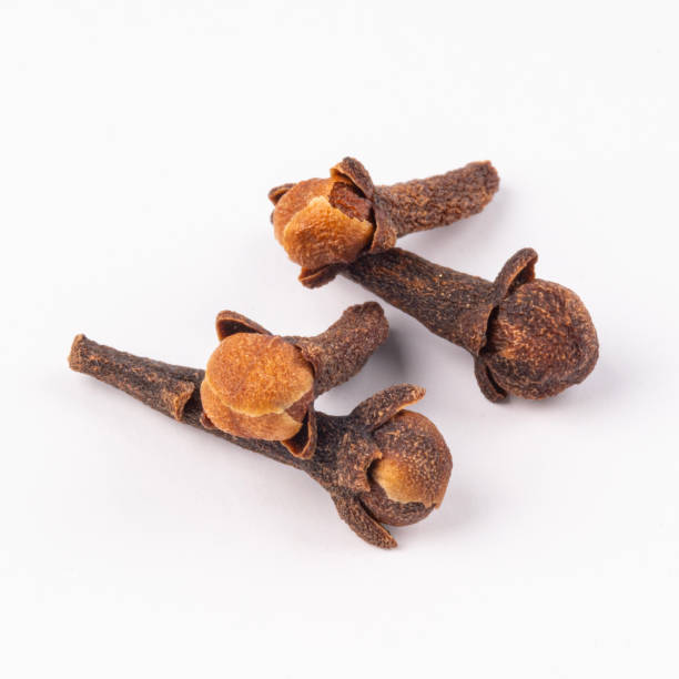 cengkeh kering diisolasi pada latar belakang putih. rempah-rempah cengkeh. rempah-rempah dan rempah-rempah. latar belakang putih, pemotretan makro. - cengkeh potret stok, foto, & gambar bebas royalti