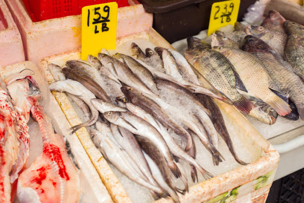istock Fresh fish on a fish market 2162926793