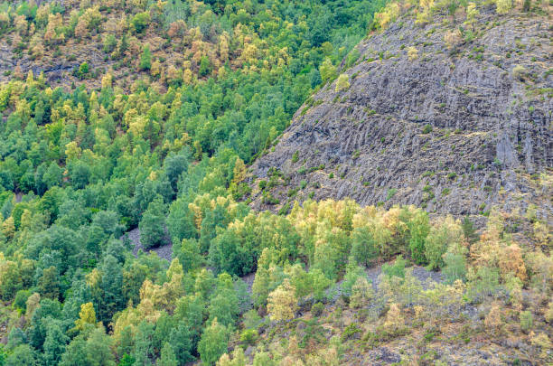 istock Forest seen from a fjord in Norway 2162936453