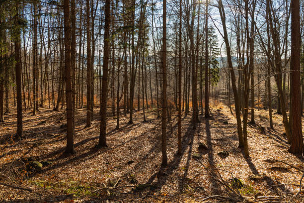Long mountain trail at small massif with beautiful views around at morning