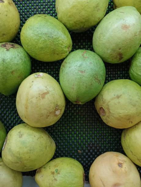 istock Fresh Guavas in a Basket at Supermarket 2162937604