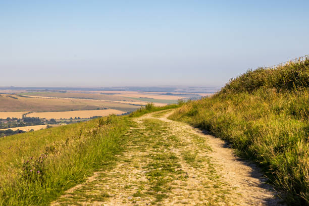 istock A path on Kingston Ridge in the South Downs, on a sunny summer's evening 2162937855