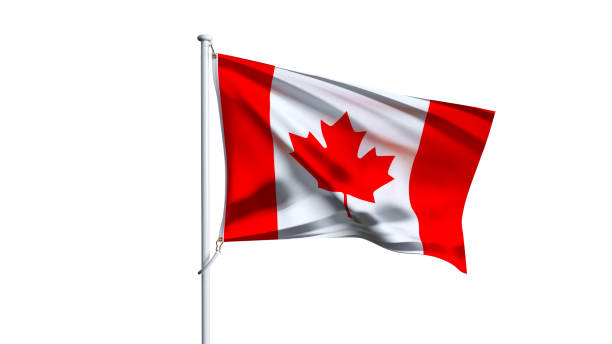 istock Waving flag of canada isolated on white background. 2162938140