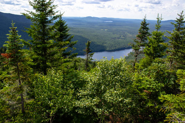 istock View of mountains and trees from the top 2162938470