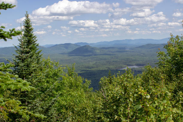 istock View of mountains and trees from the top 2162938718