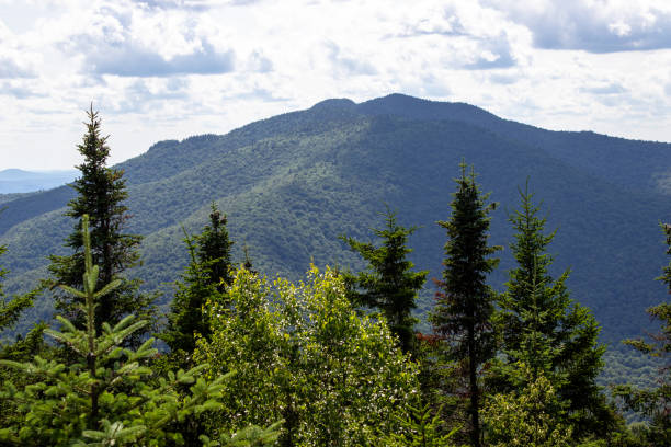istock View of mountains and trees from the top 2162938719